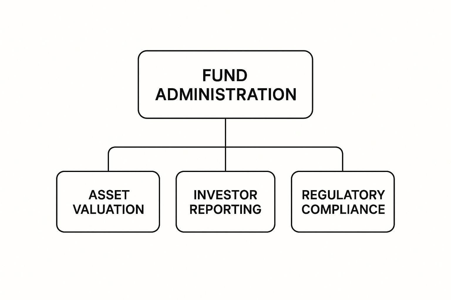 Infographic showing a hierarchy diagram with 'Fund Administration' at the top, branching down to 'Asset Valuation', 'Investor Reporting', and 'Regulatory Compliance'.
